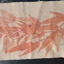 Meu projeto do curso: Impressão botânica em tecido e papel. Un projet de Artisanat, St, lisme, DIY, Teinture textile, Impression textile , et Design textile de Elisa Kamp Condé - 21.12.2022