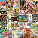 Brasilidade, comportamentos, pessoas, fauna e flora de um país.. Pattern Design, Design de moda, e Estampagem projeto de Thais Narciso - 23.12.2022