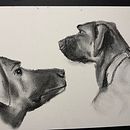 Mein Abschlussprojekt für den Kurs: Tiere zeichnen mit Kohle und Tusche. Un proyecto de Dibujo, Ilustración con tinta e Ilustración naturalista				 de omamartha69 - 25.12.2022