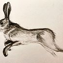Charcoal. Een project van Traditionele illustratie van Laura Poletti - 25.12.2022