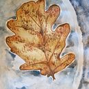 My project for course: Illustrating Nature: A Creative Exploration. Ilustração tradicional, Pintura, Desenho, Pintura em aquarela, Ilustração com tinta e Ilustração naturalista projeto de mesterceruza - 27.12.2022