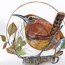 My project for course: Watercolor with Filigree and Metallic Details. Un progetto di Illustrazione tradizionale, Pittura, Pittura ad acquerello, Illustrazione botanica, Illustrazione naturalistica e Pittura decorativa di Mariyn Weimer - 28.12.2022