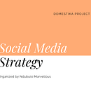 My project for course:  Social Media Strategy: Design, Manage, and Launch Campaigns. Un progetto di Marketing, Social media, Marketing digitale, Content marketing, Marketing per Facebook, Comunicazione, Marketing per Instagram e Growth Marketing di Marvellous Ndubuisi - 29.12.2022