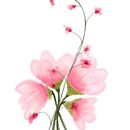 Bouquet. Traditional illustration, and Character Design project by Tara Ritchie - 12.29.2022