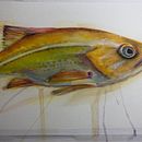Mein Abschlussprojekt für den Kurs: Aquarellillustration von Meereswelten . Projekt z dziedziny Trad, c, jna ilustracja,  Malarstwo, Malowanie akwarelą, Ilustracja naturalist i czna użytkownika Jennifer Mottschall - 29.12.2022