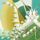 INSECTOS. Libro ilustrado.. Un proyecto de Ilustración tradicional de David Comerón - 02.01.2023