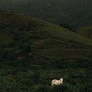 Meu projeto do curso: Fotografia de paisagem e natureza. Un proyecto de Fotografía, Fotografía en exteriores, Fotografía para Instagram, Fotografía documental y Composición fotográfica de Kamilla Libório - 02.01.2023