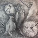 Bird situation, graphite. Projekt z dziedziny Trad, c, jna ilustracja, R, sunek ołówkiem,  R, sunek,  R, sunek art, st, czn, Ilustracja naturalist, czna, R i sowanie kredkami użytkownika carolinebertrand - 03.01.2022