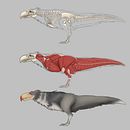 Argentosaurus- Creature Design. Projekt z dziedziny Concept art użytkownika Dilara - 03.01.2023