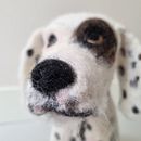 3D needle felted dog sculpture  . % Lies tarafından hazırlanan İğne Keçeleme projesi - 01.05.2023
