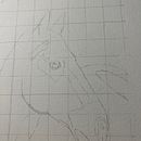 Mein Abschlussprojekt für den Kurs: Ausdrucksstarke Tierporträts in Aquarell. Projekt z dziedziny Trad, c, jna ilustracja, Malowanie akwarelą, R, sunek realist, czn, Ilustracja naturalist i czna użytkownika niddl_scheidig - 06.01.2023