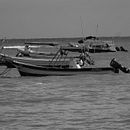 playa del carmen. Un proyecto de Fotografía de Alexandre Ayala - 06.01.2023