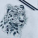 My project for course: Naturalistic Animal Drawing with Graphite Pencil. Een project van Traditionele illustratie, Tekening met potlood,  Tekening, Naturalistische illustratie y Ontwerp van personages van Jenny Foreman - 06.01.2023