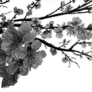 Mi proyecto del curso: Cianotipia: técnica de impresión con luz Ein Projekt aus dem Bereich H, werk, Bildende Künste, Prägung, DIY und Analogfotografie von Caryana Castillo - 07.01.2023