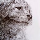 My project for course: Animal Illustration with Charcoal and Ink . % lionsaidh_smith tarafından hazırlanan Çizim, Mürekkep İllüstras, onu, Doğalcı İllüstras, Ve on projesi - 01.08.2023