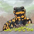 Salamander. Ilustração tradicional projeto de Maddie - 08.01.2023