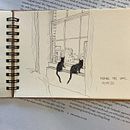 Various cat drawings. Drawing project by Josephine - 01.09.2023