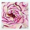 Meu projeto do curso: Ilustração botânica com aquarela. Un proyecto de Ilustración tradicional, Bellas Artes, Pintura, Dibujo, Pintura a la acuarela e Ilustración botánica de Rute Bailao - 09.01.2023