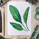 Meu projeto do curso: Vídeos para Instagram: registre seu processo criativo. Un projet de Vidéo, Photographie smartphone, Instagram, Réalisation, Photographie pour Instagram, Photographie lifest, le , et Design  de CAMILA OLIVEIRA - 11.01.2023