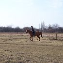 Mój projekt z kursu: Kreatywne pisanie dla początkujących: powołaj swoją historię do życia. Un progetto di Scrittura, Creatività, Stor, telling, Narrativa e Scrittura creativa di kusz_marta - 12.01.2023