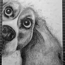 Mi proyecto del curso: Ilustración de animales con carboncillo y tinta. Un projet de Dessin, Illustration à l'encre et Illustration naturaliste de Alvaro Hernandez - 11.01.2023