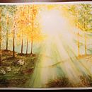 Il mio progetto del corso: Paesaggi incantevoli ad acquerello: dipingi con la luce. Een project van Schilderij y Aquarelschilderen van alecesarato46 - 14.01.2023