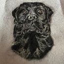 My project for course: Needle Felting: Paint Portraits with Wool . % missyrmom tarafından hazırlanan Sanat ve El Sanatları, El, af Sanatları, Doğalcı İllüstras, on, İğne Keçeleme, Ve Tekstil Tasarımı projesi - 01.14.2023