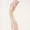 Mijn project van de cursus: Illustreer handen met aquarel. Een project van Schilderij, Aquarelschilderen y Anatomisch tekenen van Judith van Rijswijk - 15.01.2023