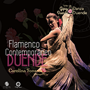 Gira Gipsy Duende México 2017 . Direcția artistică și Producție audiovizuală de Paulina Vega - 01.17.2023