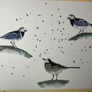 My project for course: Artistic Watercolor Techniques for Illustrating Birds. Traditional illustration, Watercolor Painting, Realistic Drawing, and Naturalistic Illustration project by jcspender - 01.18.2023