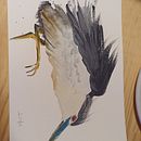 My project for course: Naturalist Watercolor with Expression and Personality. Traditional illustration, Watercolor Painting, and Naturalistic Illustration project by Sara Gomes de Almeida - 01.19.2023