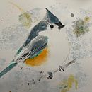 tufted titmouse. Un progetto di Pittura di swilliamsdo - 20.01.2023