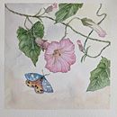 My project for course: Naturalistic Illustration in Watercolor and Gouache. Un proyecto de Bellas Artes, Pintura a la acuarela, Ilustración botánica, Ilustración naturalista				 y Pintura gouache de Ellyn Gaspardi - 20.01.2023