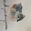 artistic watercolor course. Un progetto di Pittura ad acquerello di swilliamsdo - 19.01.2023