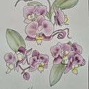 Botanical sketch book. Projekt z dziedziny Trad, c i jna ilustracja użytkownika suemackenzie186 - 22.01.2023