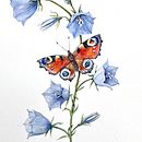 My project for course: Naturalistic Illustration in Watercolor and Gouache Ein Projekt aus dem Bereich Bildende Künste, Malerei, Aquarellmalerei, Botanische Illustration, Naturalistische Illustration und Gouachemalerei von Marjaana Sivonen - 22.01.2023