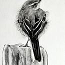 Lesson in values. Un projet de Illustration traditionnelle, Dessin réaliste et Illustration naturaliste de oldriska_chutna - 23.01.2023