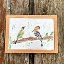 Il mio progetto del corso: Acquerello artistico per illustrazione di animali: gli uccelli. Un projet de Illustration traditionnelle, Aquarelle, Dessin réaliste et Illustration naturaliste de Diana Dirindiana - 22.01.2023