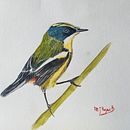 Mi proyecto del curso: Acuarela artística para ilustración de aves. Projekt z dziedziny Trad, c, jna ilustracja, Malowanie akwarelą, R, sunek realist, czn, Ilustracja naturalist i czna użytkownika Maria Rojas - 23.01.2023