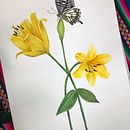 Mi proyecto del curso: Ilustración naturalista con gouache y acuarela . % Claudia Rojas tarafından hazırlanan Güzel sanatlar, Tablo, Sulubo, a Resim, Botanik İllüstras, on, Doğalcı İllüstras, on, Guaj Bo, Ve ama projesi - 01.22.2023