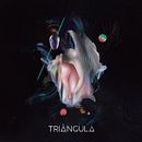 Triangula, Triangula. Produção musical, Música, Áudio, e Design de som projeto de Tatu Estela - 23.01.2023