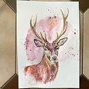 Mon projet du cours : Portraits expressifs d'animaux à l'aquarelle. Un proyecto de Ilustración tradicional, Pintura a la acuarela, Dibujo realista e Ilustración naturalista				 de Justine - 24.01.2023