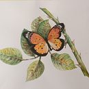 My project for course: Naturalistic Illustration in Watercolor and Gouache. Un proyecto de Bellas Artes, Pintura, Pintura a la acuarela, Ilustración botánica, Ilustración naturalista				 y Pintura gouache de hartjane01 - 24.01.2023