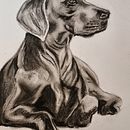 My project for course: Animal Illustration with Charcoal and Ink Ein Projekt aus dem Bereich Bildende Künste, Zeichnung, Illustration mit Tinte und Naturalistische Illustration von caroline.goude.cg - 24.01.2023