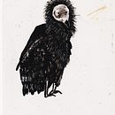 My project for course: Wallcreeper Bird & California Condoor Bird. Un progetto di Illustrazione tradizionale e Belle arti di Margot Huang - 24.01.2023