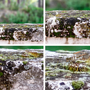 Serie Micropaisajes. Photograph, and Post-production project by Carlos Muur - 05.21.2020