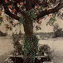 Mi proyecto del curso: Introducción al fotobordado: crea imágenes con textura. Un projet de Photographie, Papercraft, Broderie, DIY , et Design textile de palomacanevari - 25.01.2023