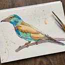 Mein Abschlussprojekt für den Kurs: Illustriere Vögel mit expressiven Aquarelltechniken. Projekt z dziedziny Trad, c, jna ilustracja, Malowanie akwarelą, R, sunek realist, czn, Ilustracja naturalist i czna użytkownika chaosimkopf - 26.01.2023