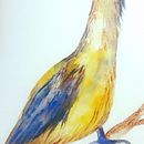 Mon projet du cours : Techniques artistiques d'aquarelle pour illustrer les oiseaux. Un progetto di Illustrazione tradizionale, Pittura ad acquerello, Disegno realistico e Illustrazione naturalistica di kristell_lecunff - 27.01.2023
