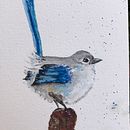 Uccellino delle fate. Un progetto di Illustrazione tradizionale di lucia_menato - 27.01.2023